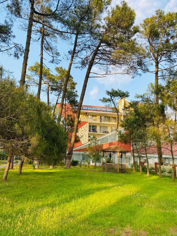 Villa Reta Hotel & Spa Grigoleti Εξωτερικό φωτογραφία