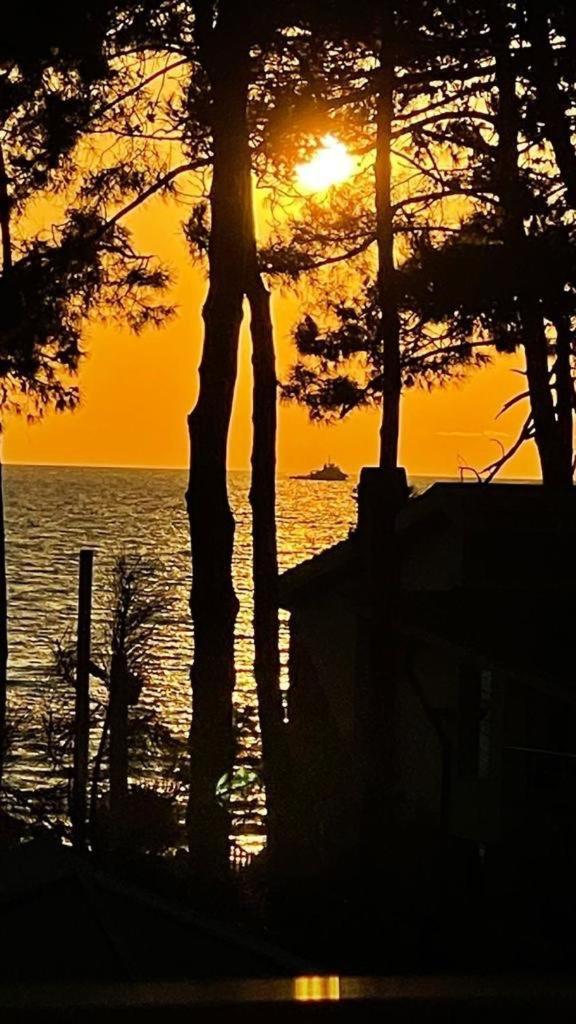 Villa Reta Hotel & Spa Grigoleti Εξωτερικό φωτογραφία